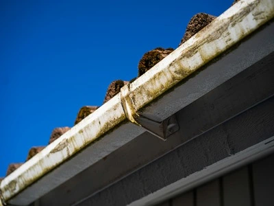 Professional Gutter Cleaning Service in Arlington Verginia