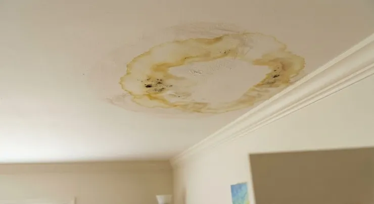 Homeowner inspecting attic for storm damage and water intrusion signs in Arlington VA