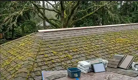 moss growth asphalt shingle roof Pacific Northwest copper ridge strip prevention